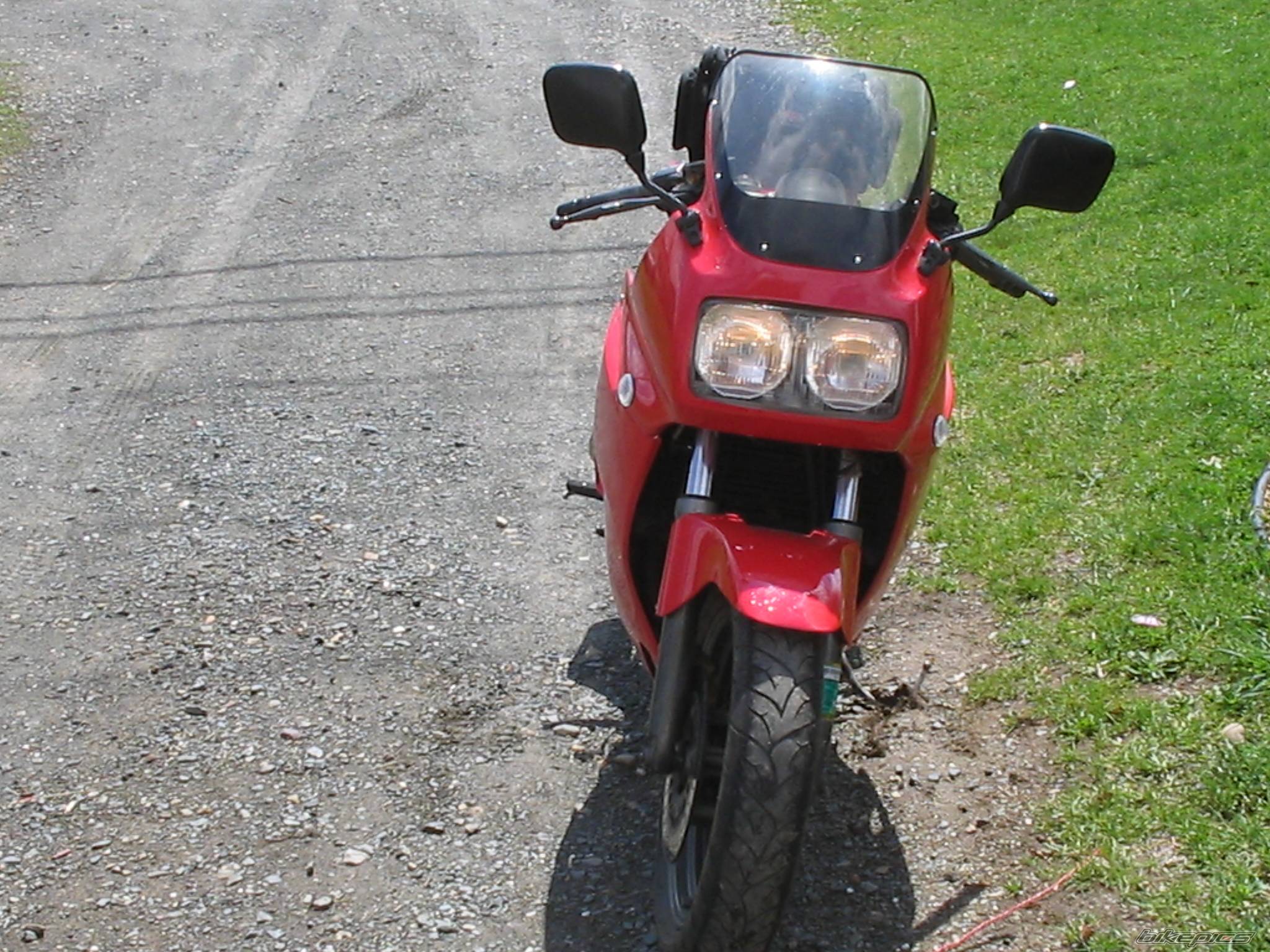 Photo 367316