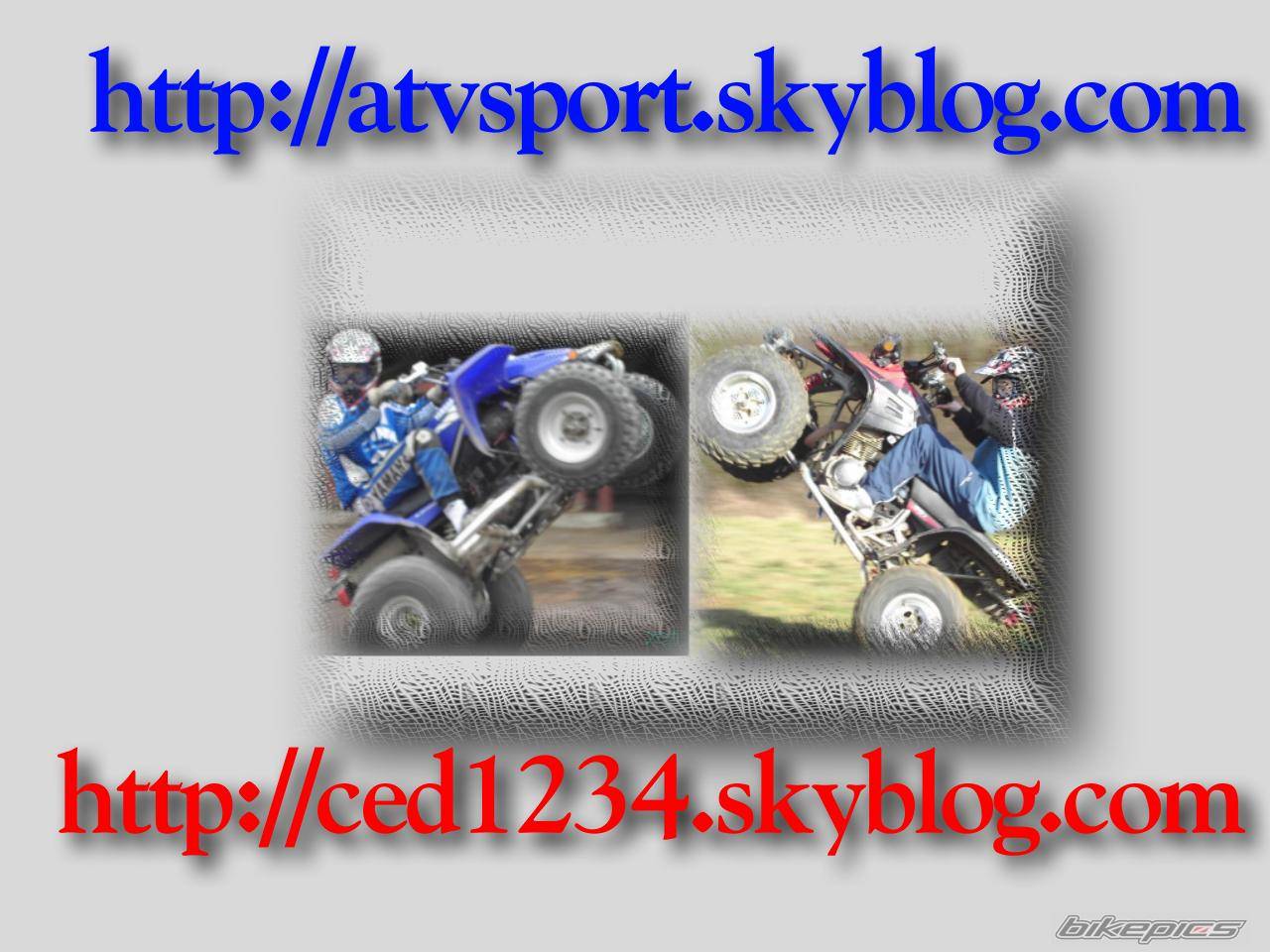 Photo 367509