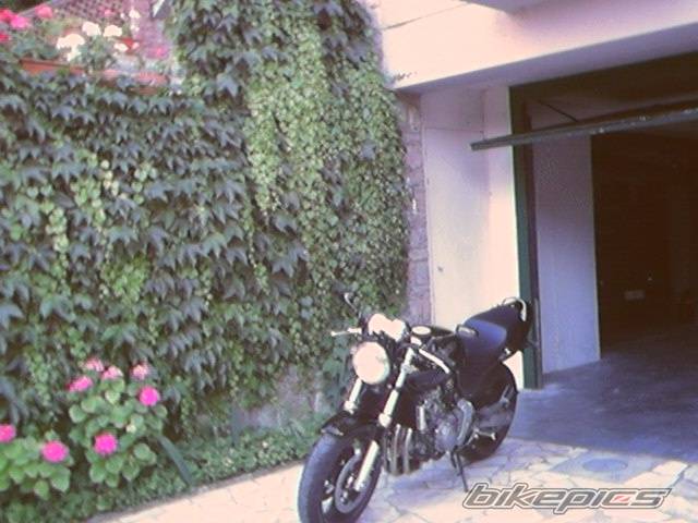 Bike Photo 367533
