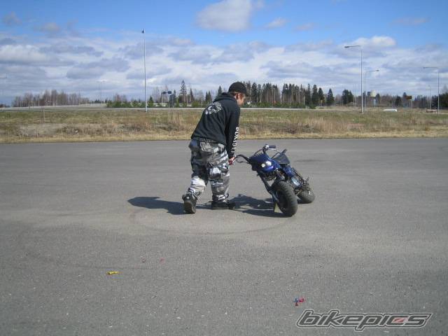 Photo 367576
