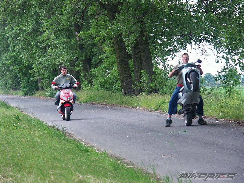 Photo 367582