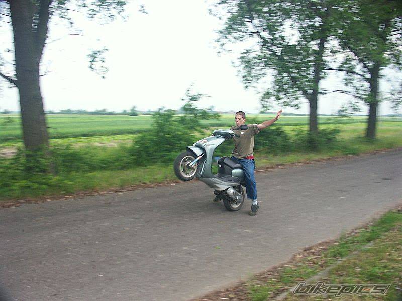 Photo 367586