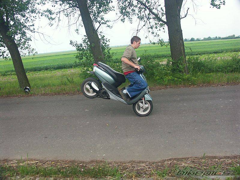 Photo 367588