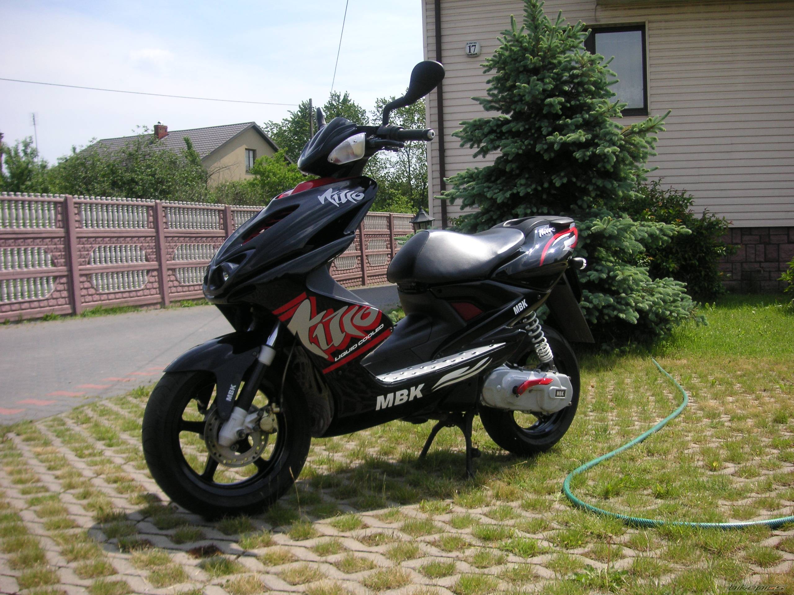 Photo 367596