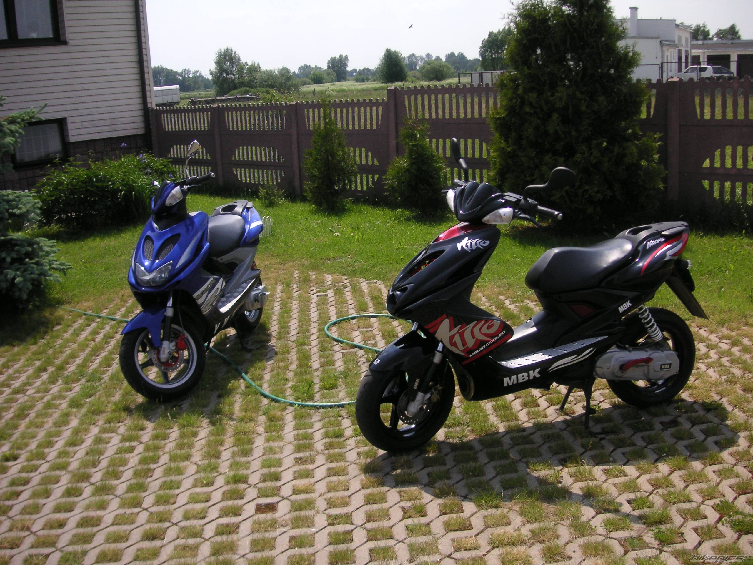 Photo 367600
