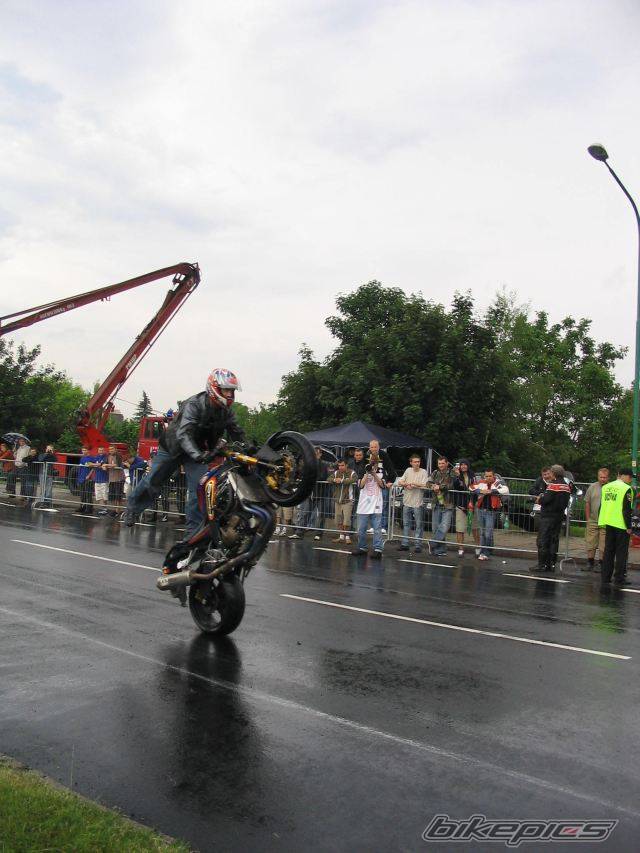 Photo 367659