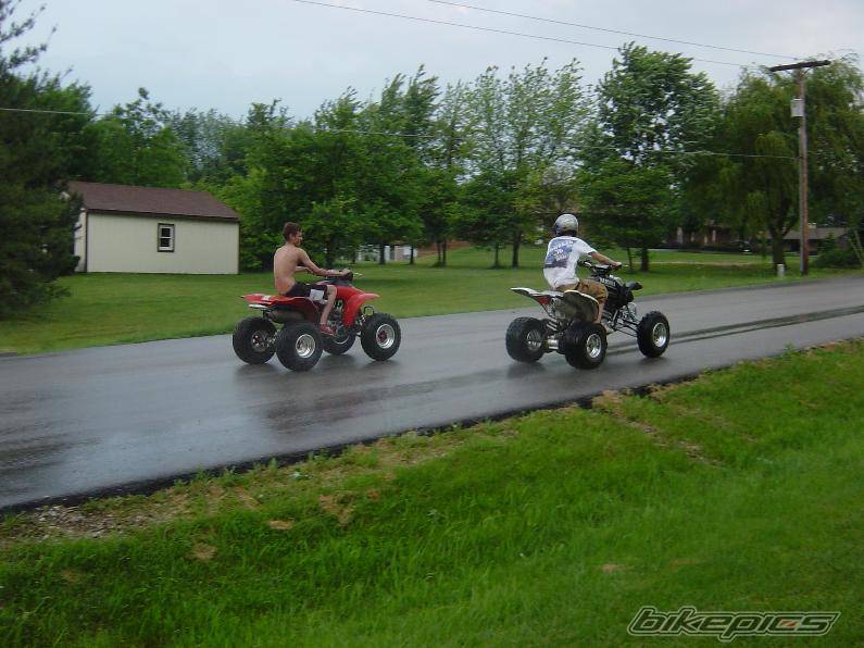 Photo 367699