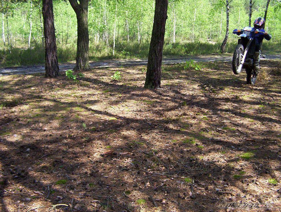 Bike Photo 367801
