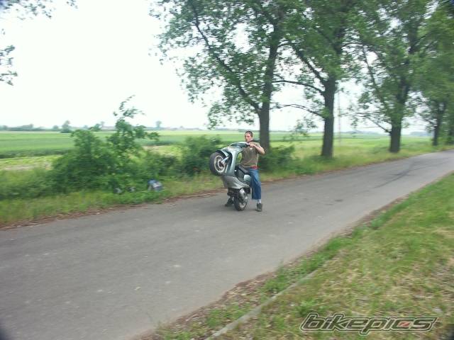 Photo 368017