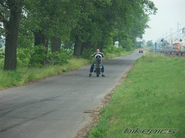 Photo 368019