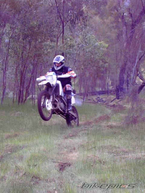 Bike Photo 368451