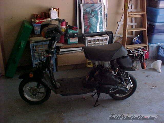 Photo 3686