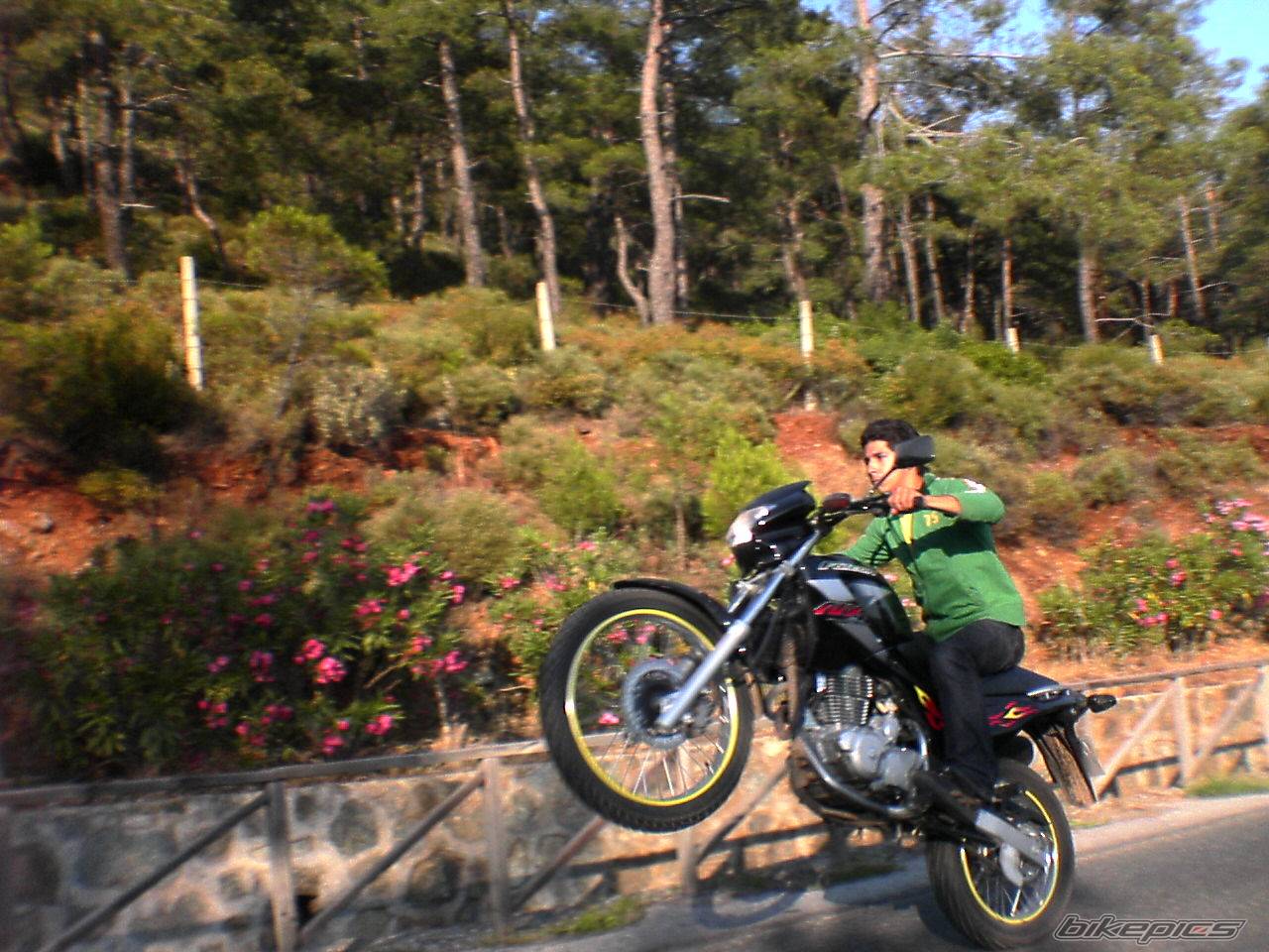 Bike Photo 368906