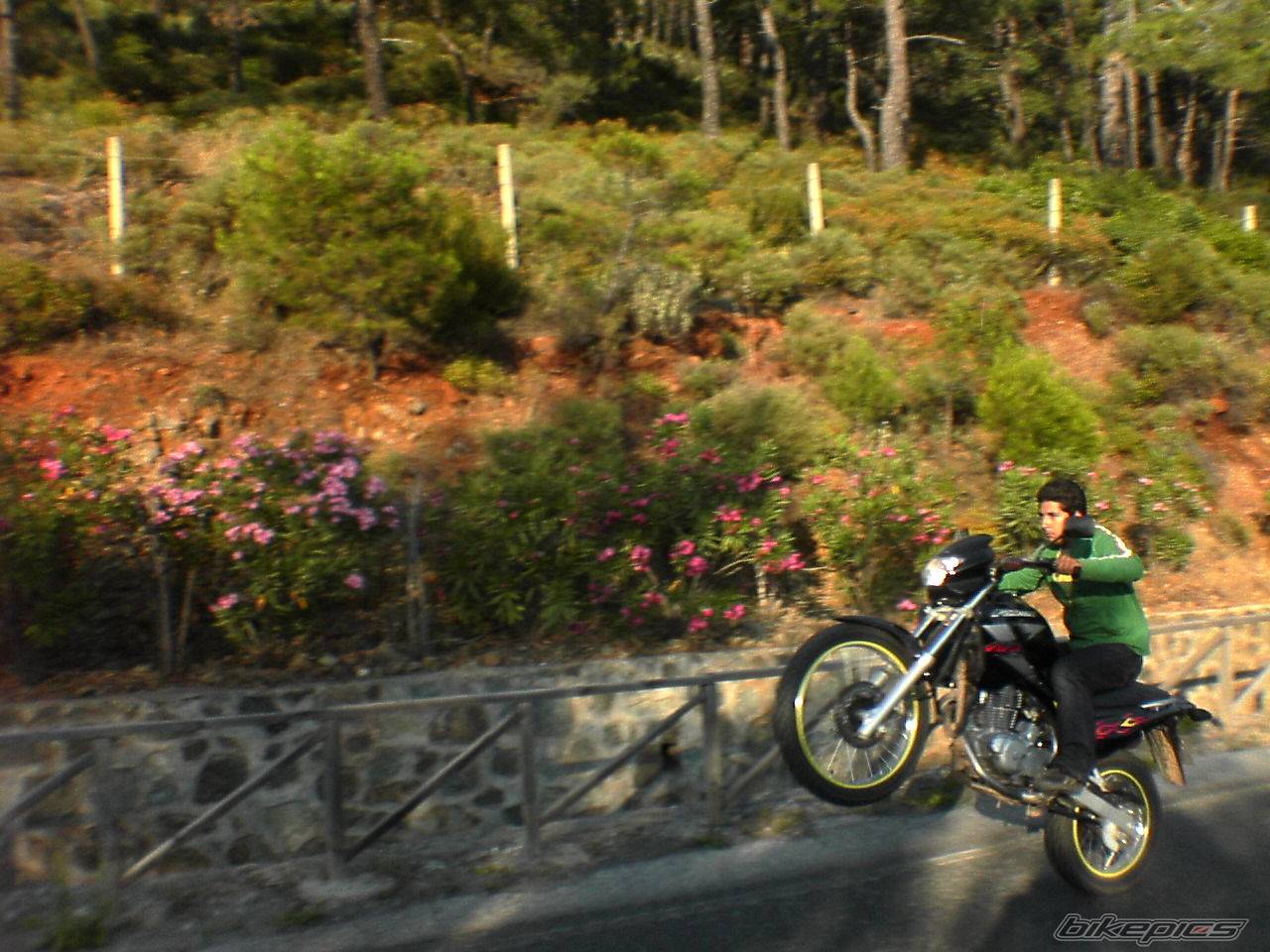 Bike Photo 368910