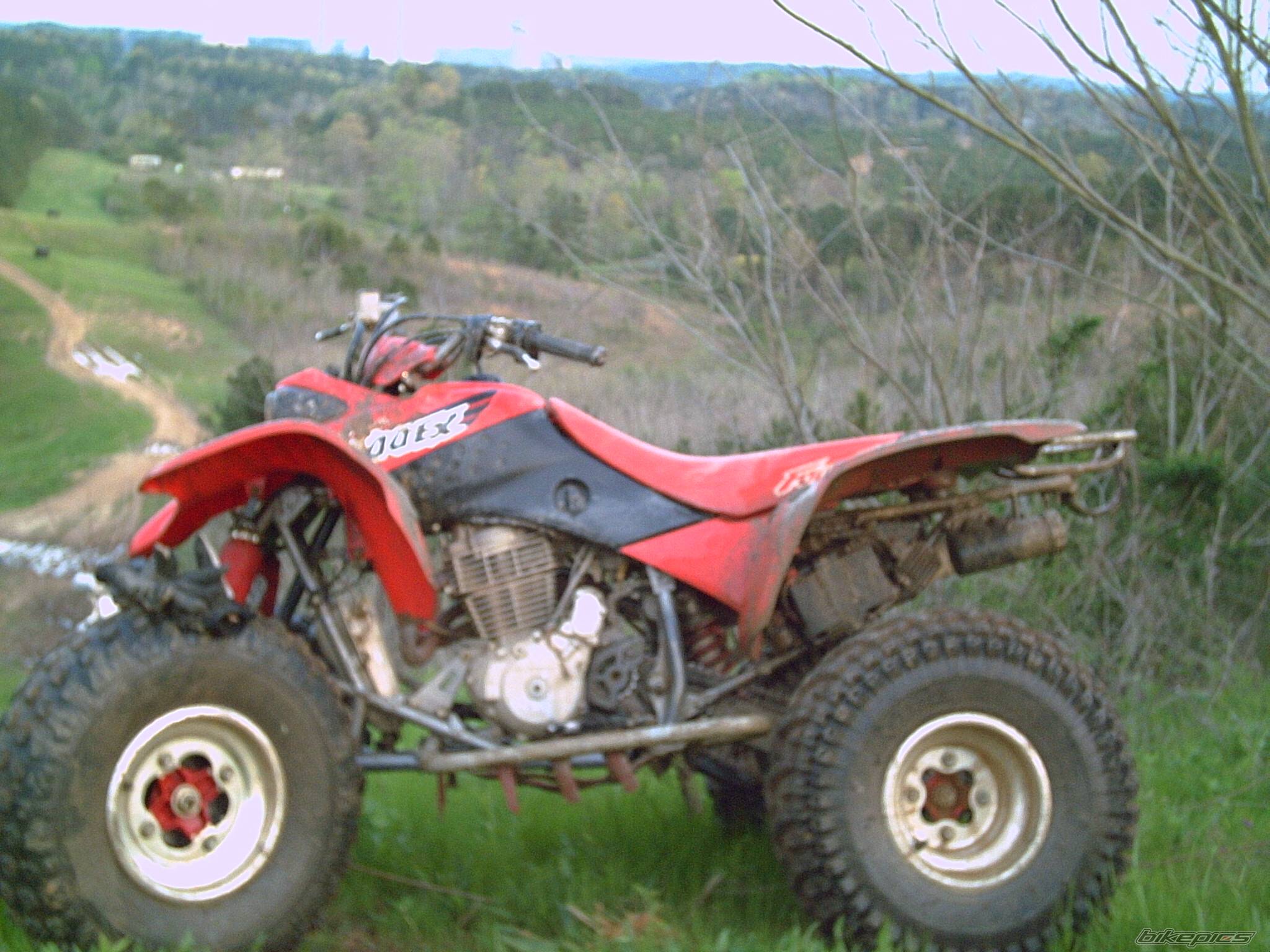 Bike Photo 368926