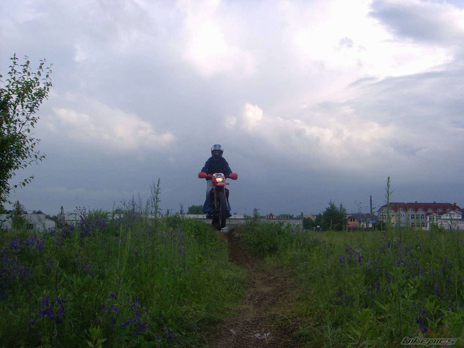 Photo 368939
