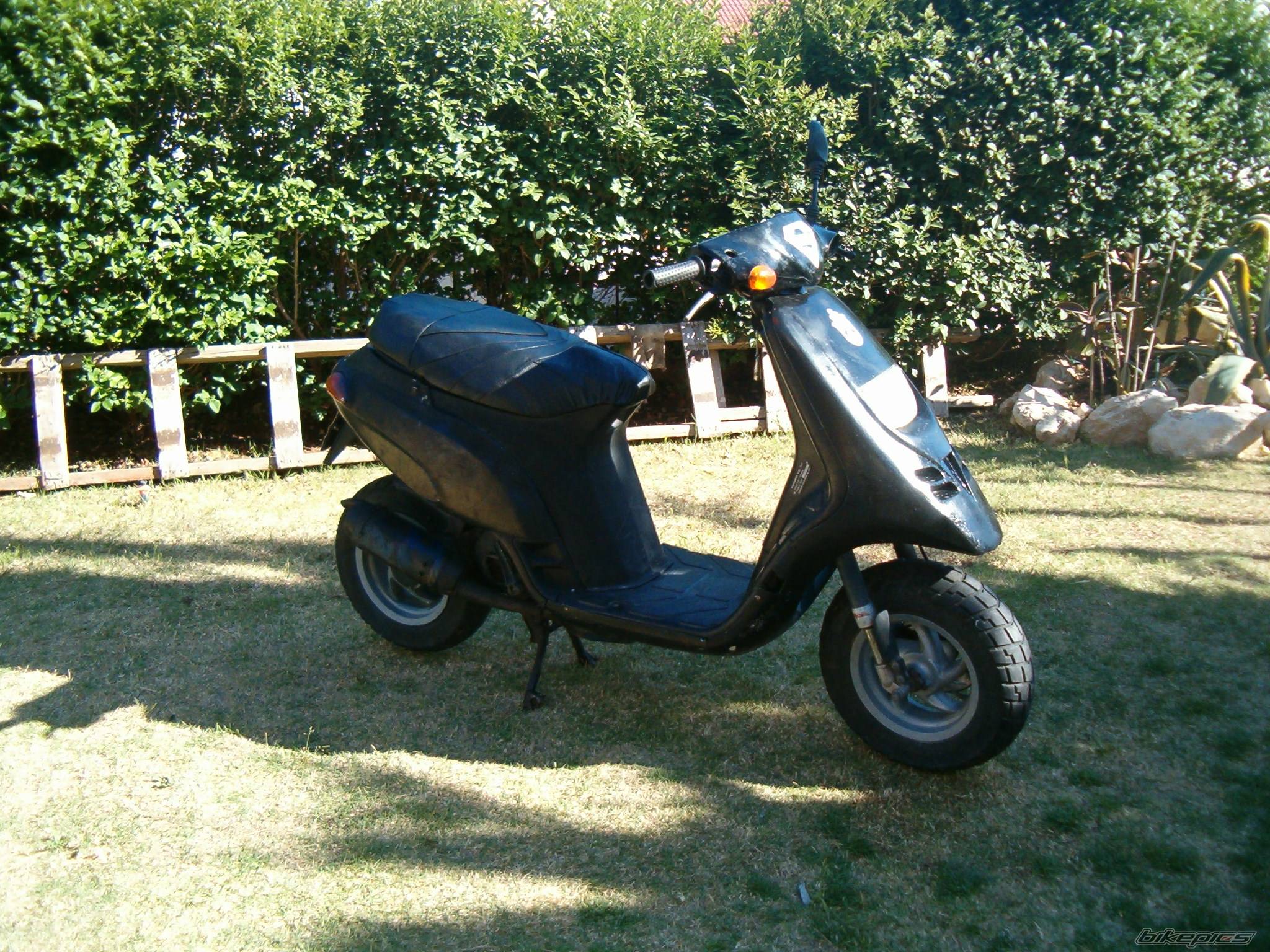 Photo 369004
