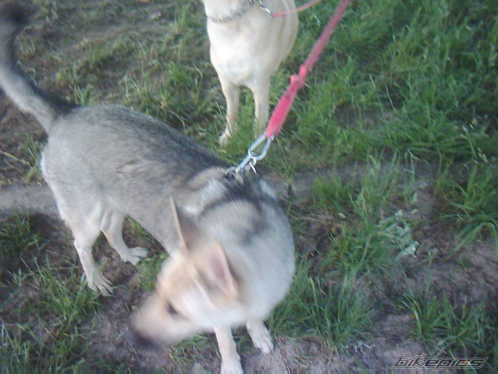 Photo 369006