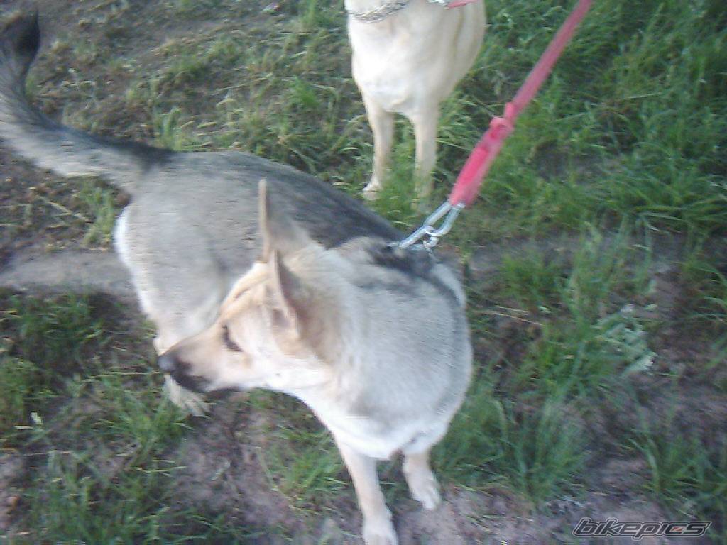 Photo 369008