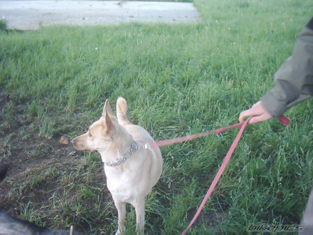 Photo 369010