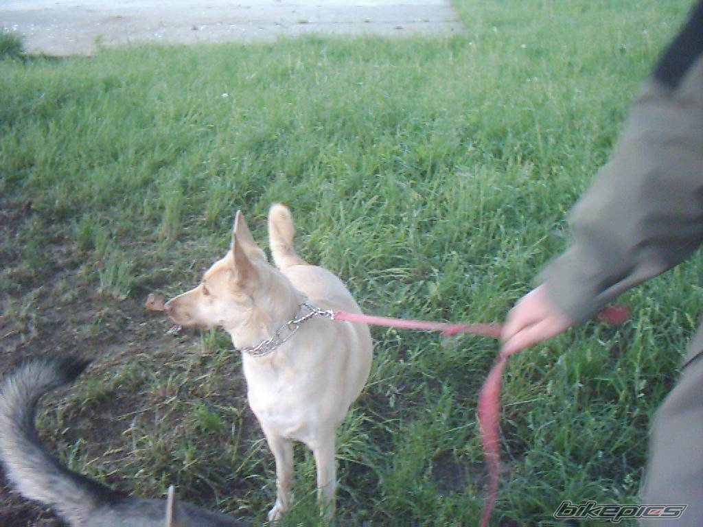Photo 369012