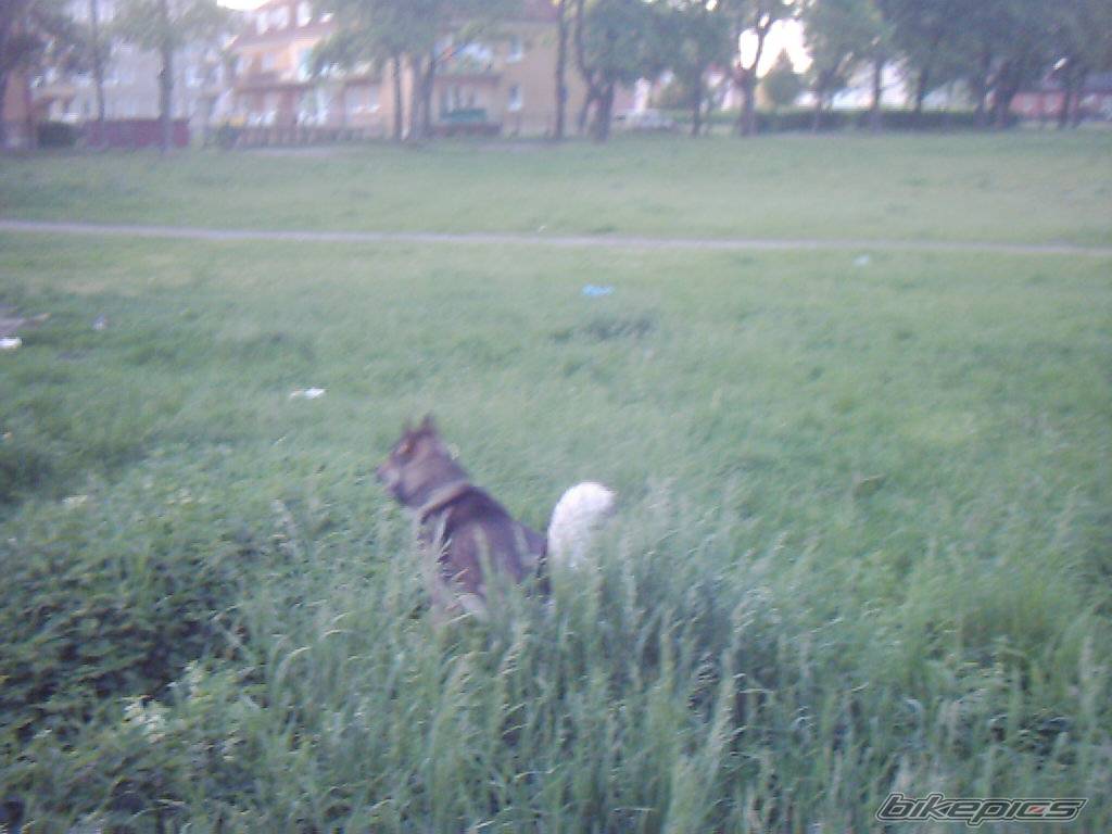 Photo 369013