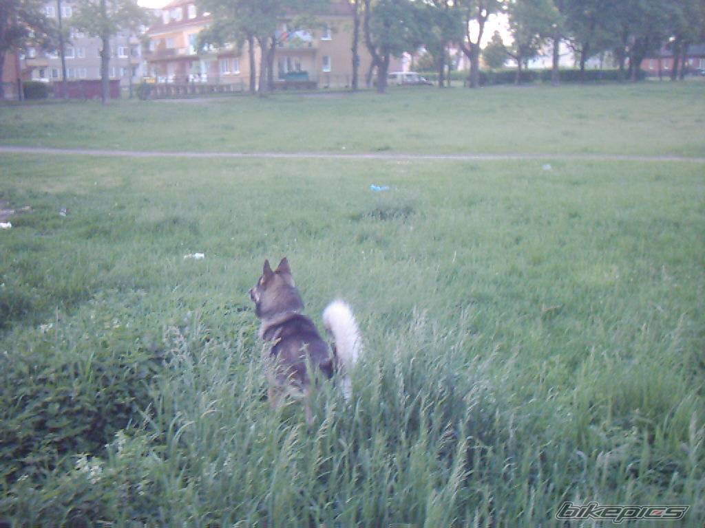 Photo 369014