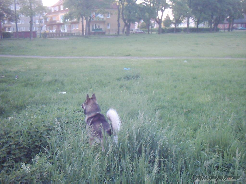 Photo 369015