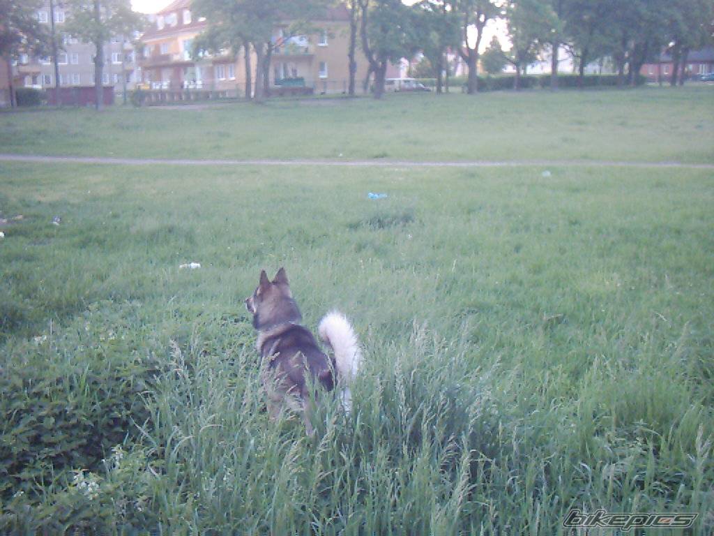 Photo 369017