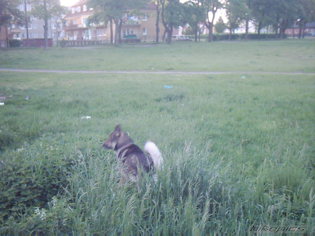 Photo 369018