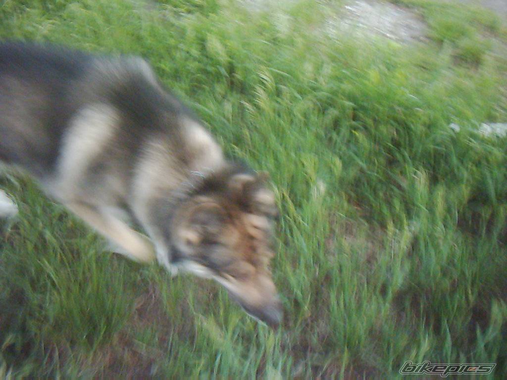 Photo 369020