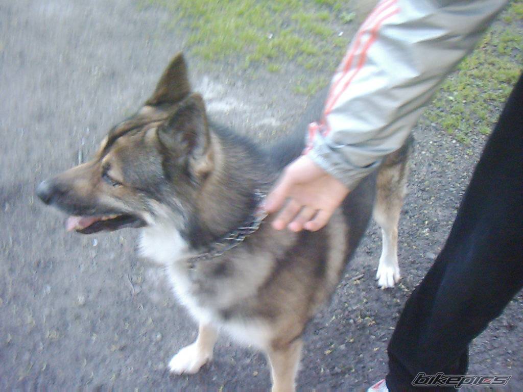 Photo 369021