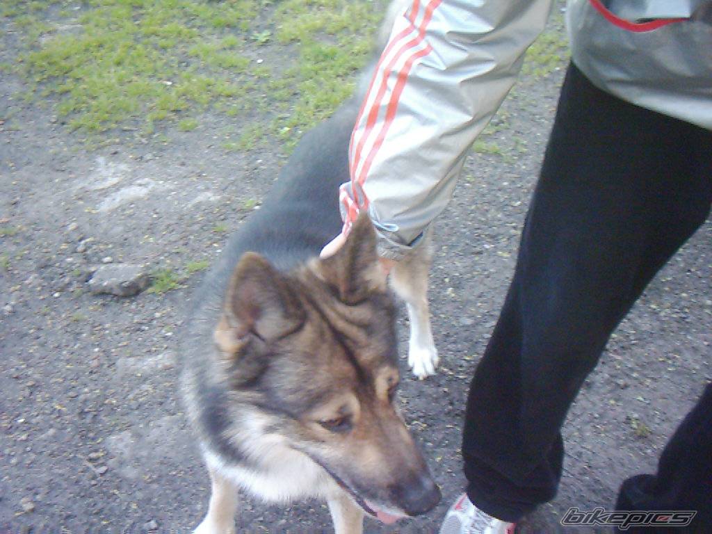Photo 369022