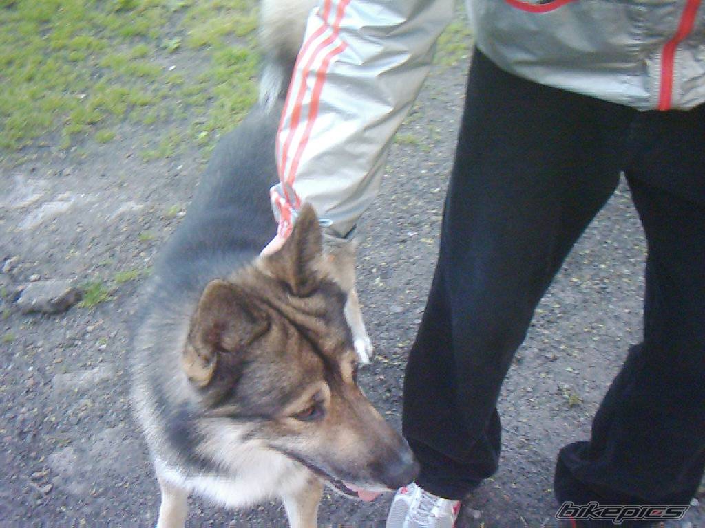 Photo 369023