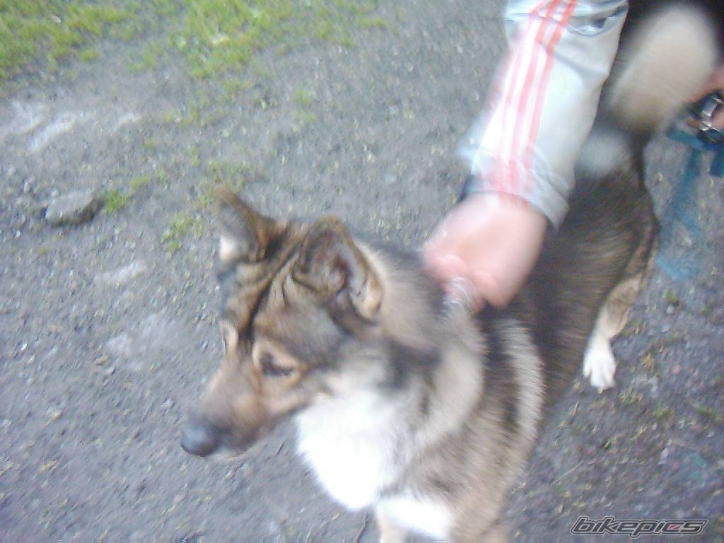 Photo 369024