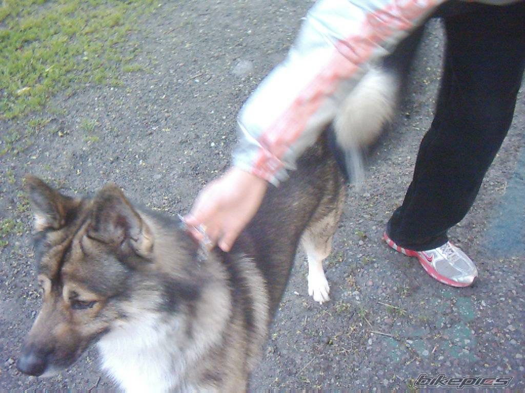 Photo 369025