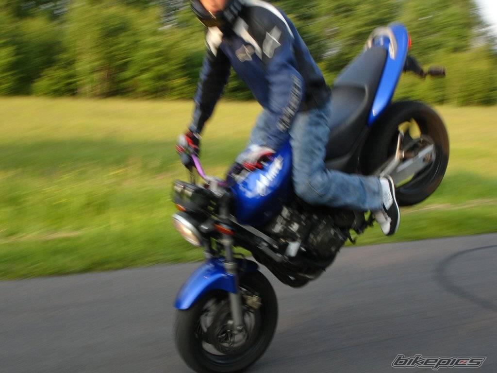 Bike Photo 369167