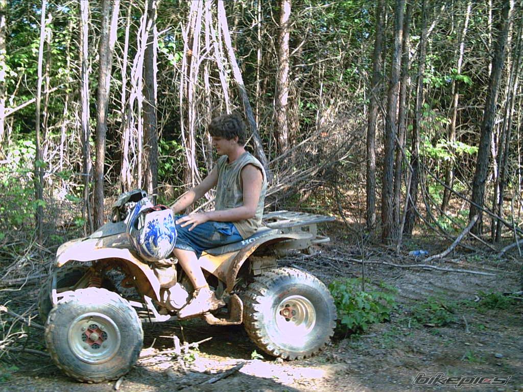 Bike Photo 369189