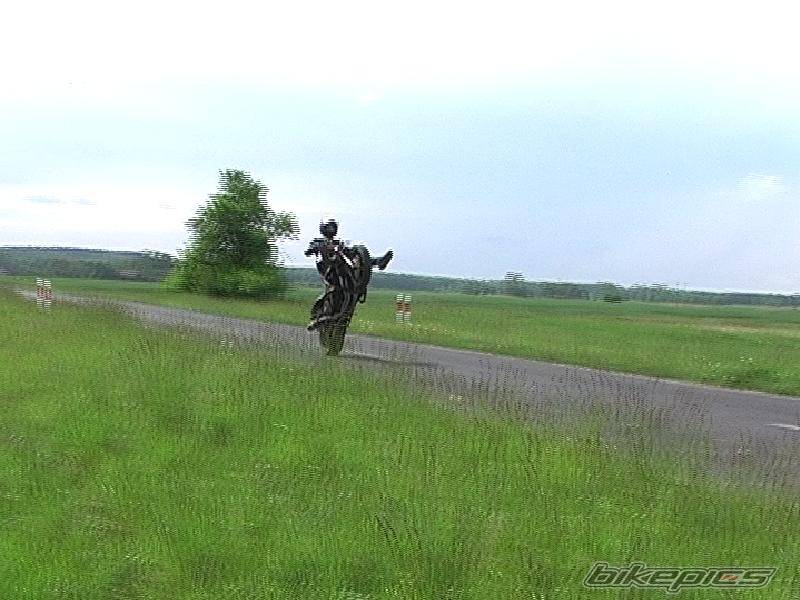 Photo 369233