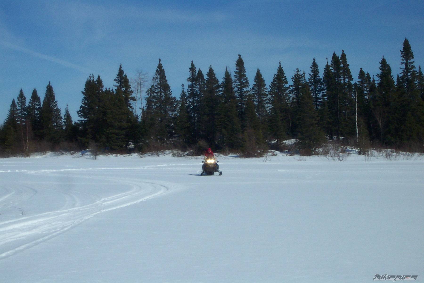 Photo 369236