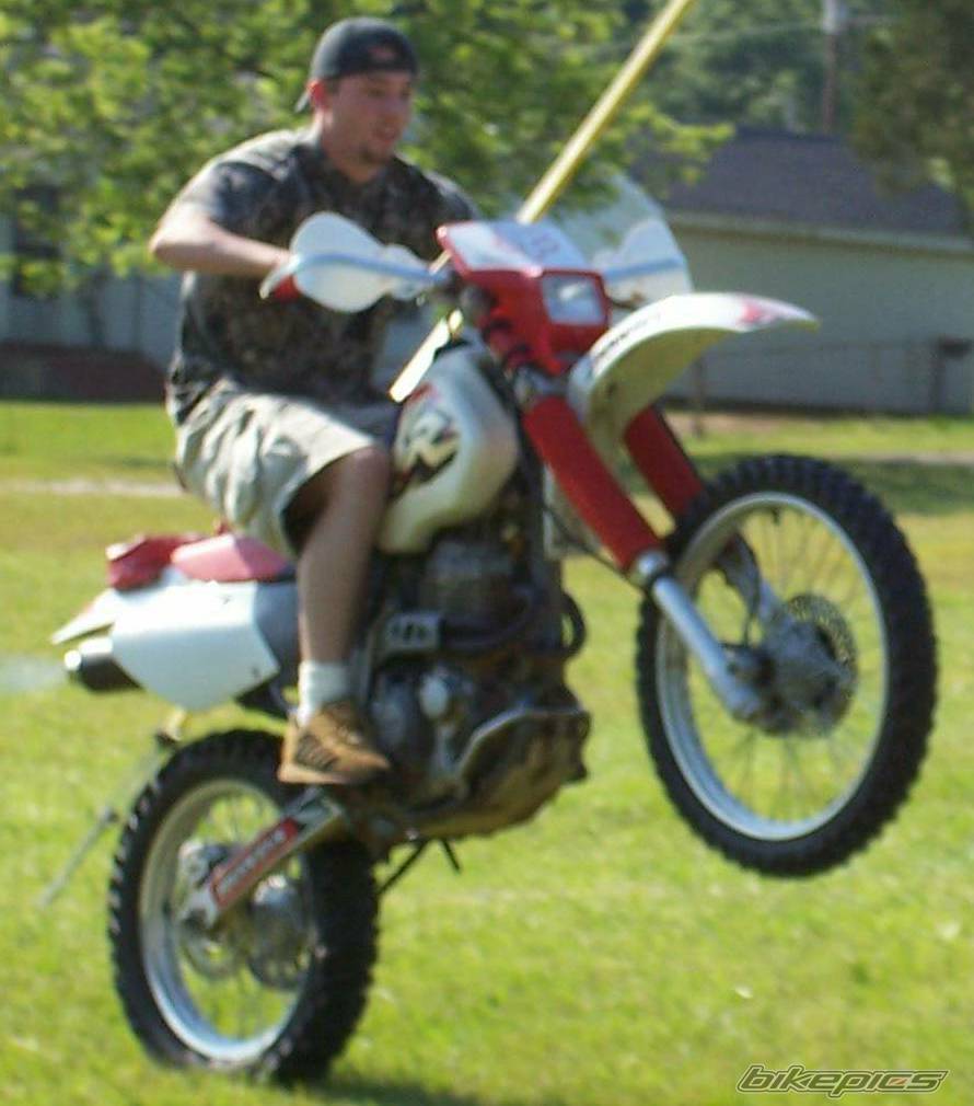Bike Photo 369257