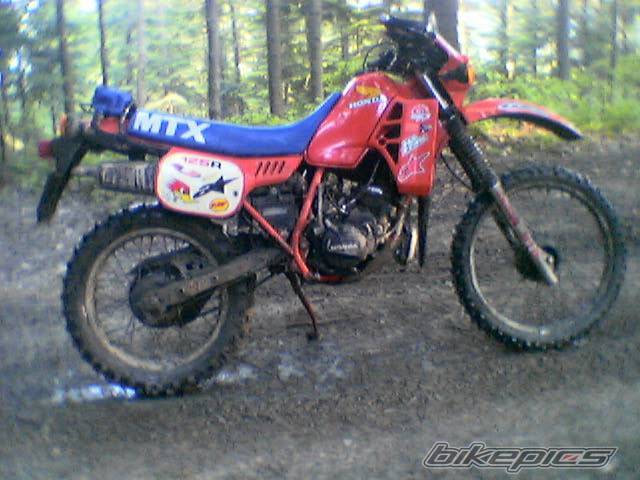 Photo 369349