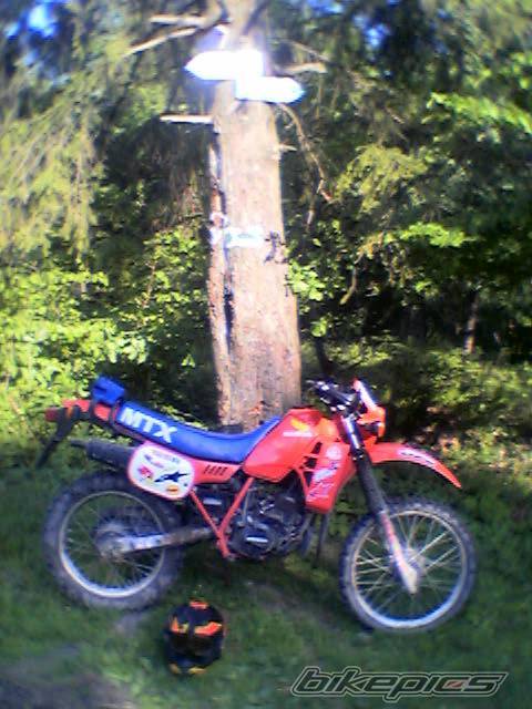 Photo 369351