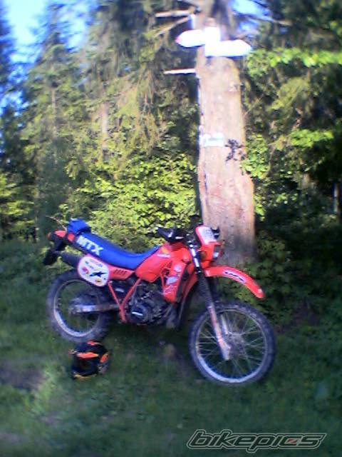 Photo 369352
