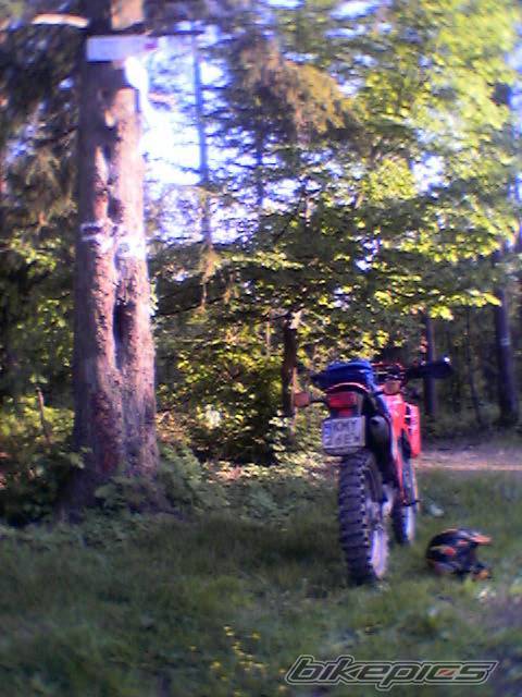 Photo 369353