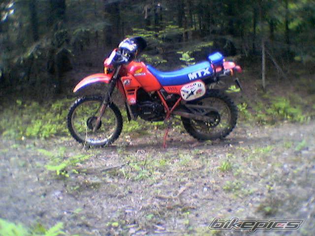Photo 369354