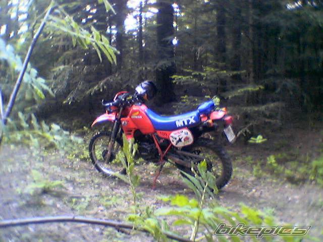 Photo 369355