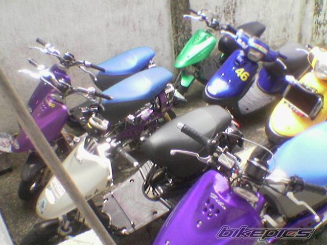Photo 369386