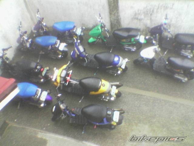 Photo 369387