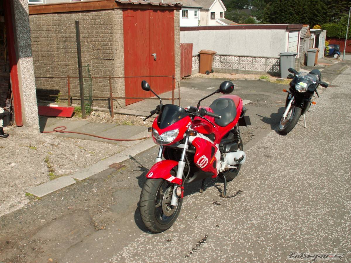 Photo 369420